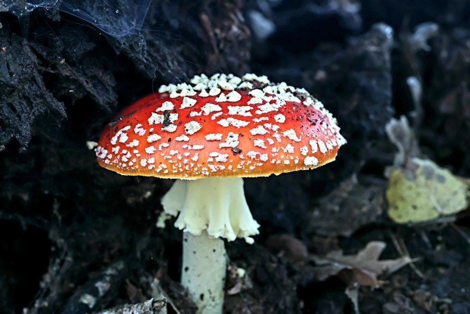 Visual guide: What is Artificial Intelligence? A Beginner's Guide