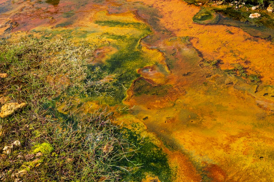 Visual guide: Why AI is Important: Unlocking the Future Today